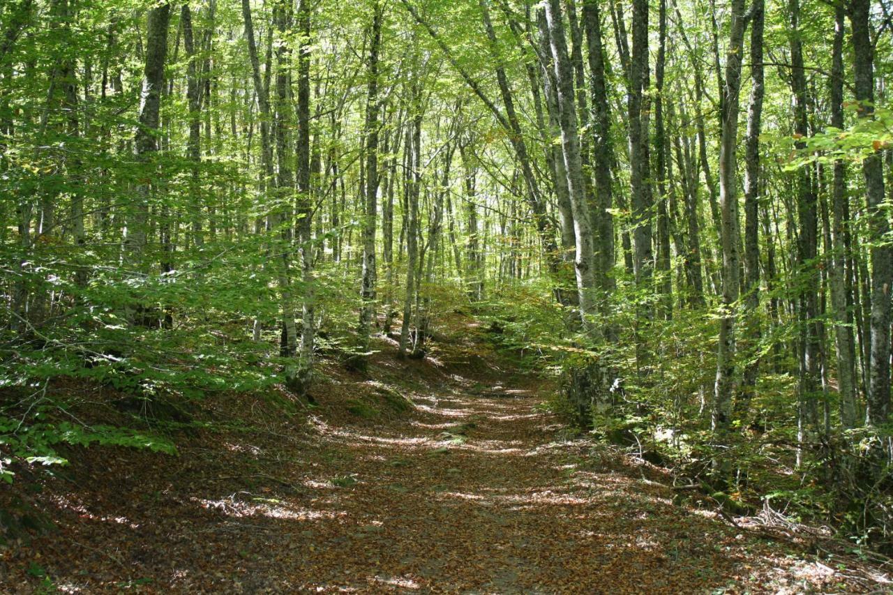 Vivienda Rural Casa Javier Lacunza Aoiz Zewnętrze zdjęcie